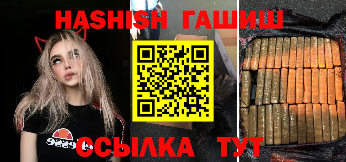 ГАШ Premium Кимовск