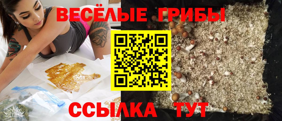 Галлюциногенные грибы Cubensis Кимовск